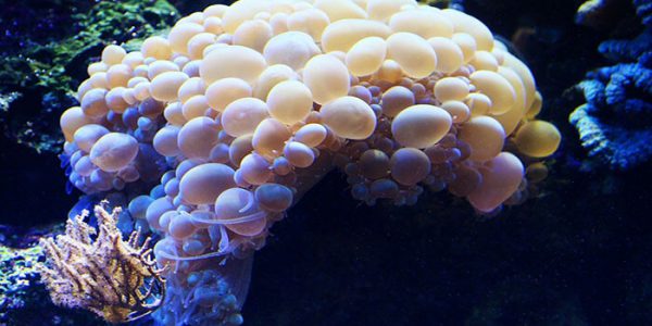 Exercises That Are Good for Your Brain