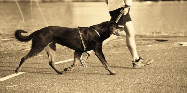 How Exercising With a Pet Can Help Motivate You
